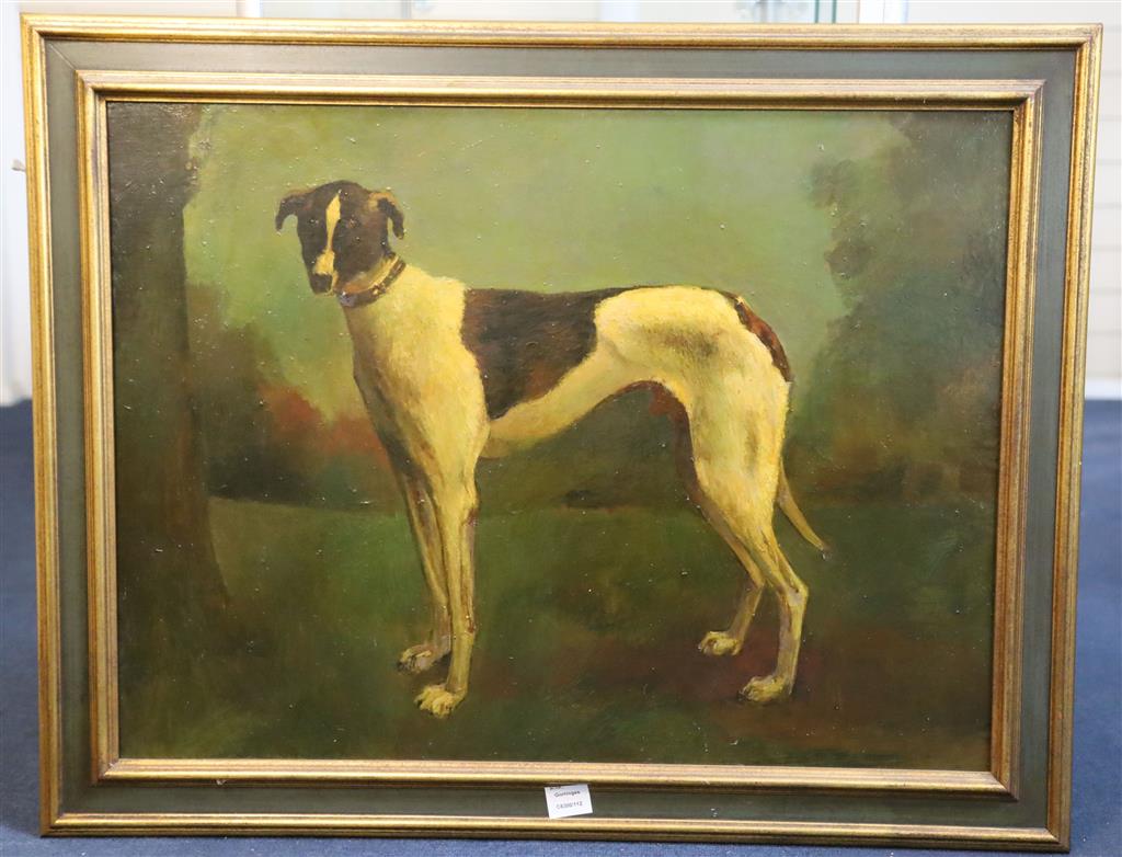 20th century English School, oil on board, Study of a greyhound, 60 x 80cm